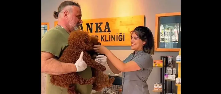Anka Veteriner Kliniği