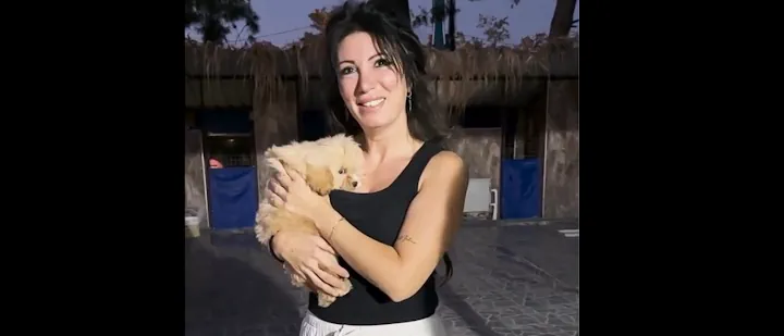 Maltipoo