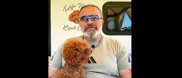Toy Poodle