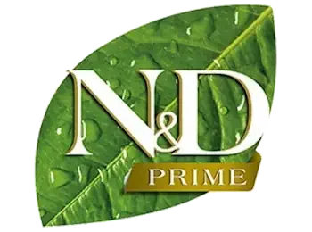 nd prime logo 350x260